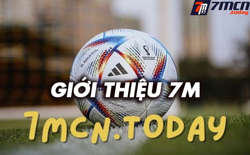 Giới thiệu silverka.net